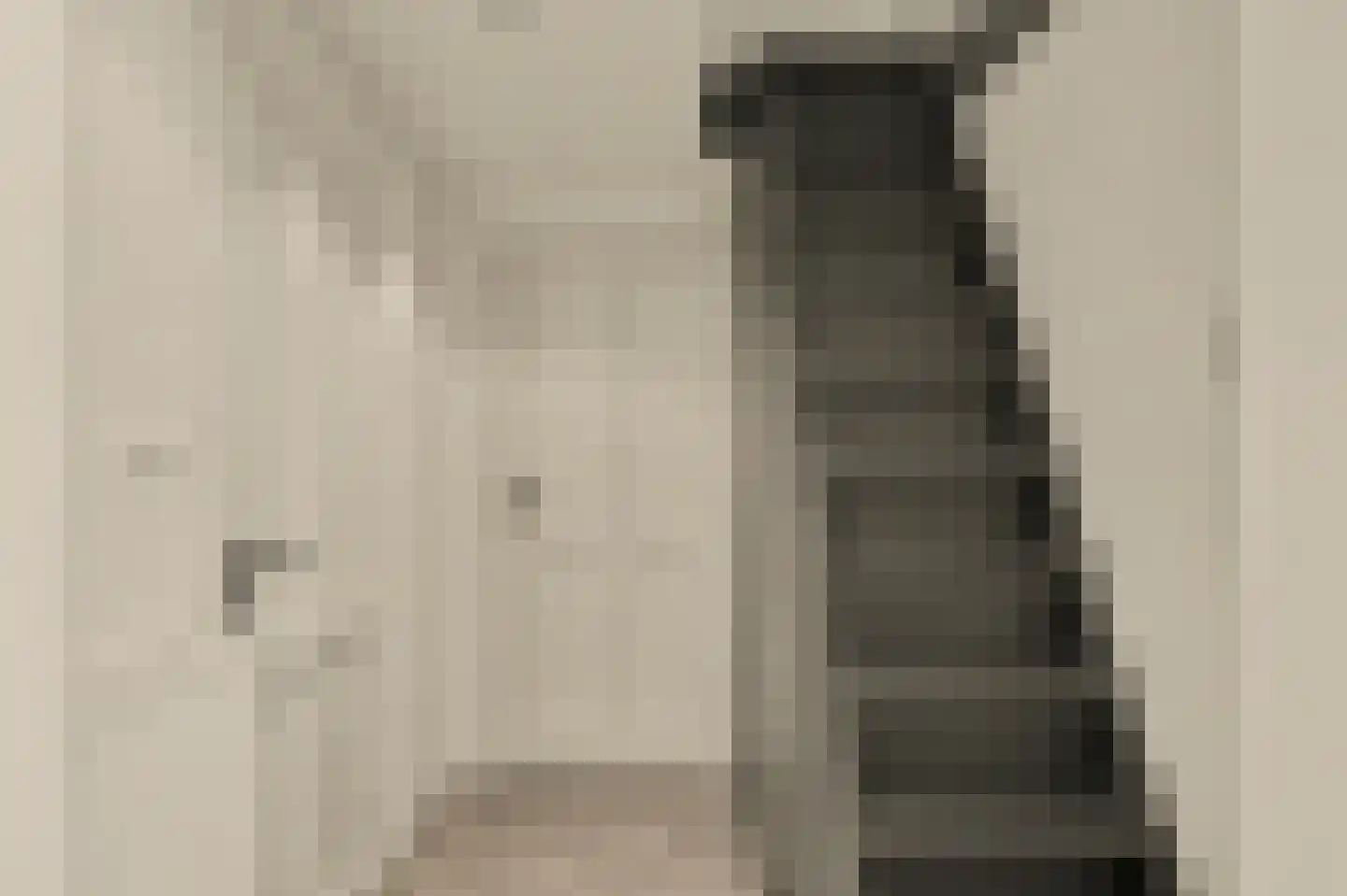 Dorpsstraat 6 Sirjansland thumbnail 21