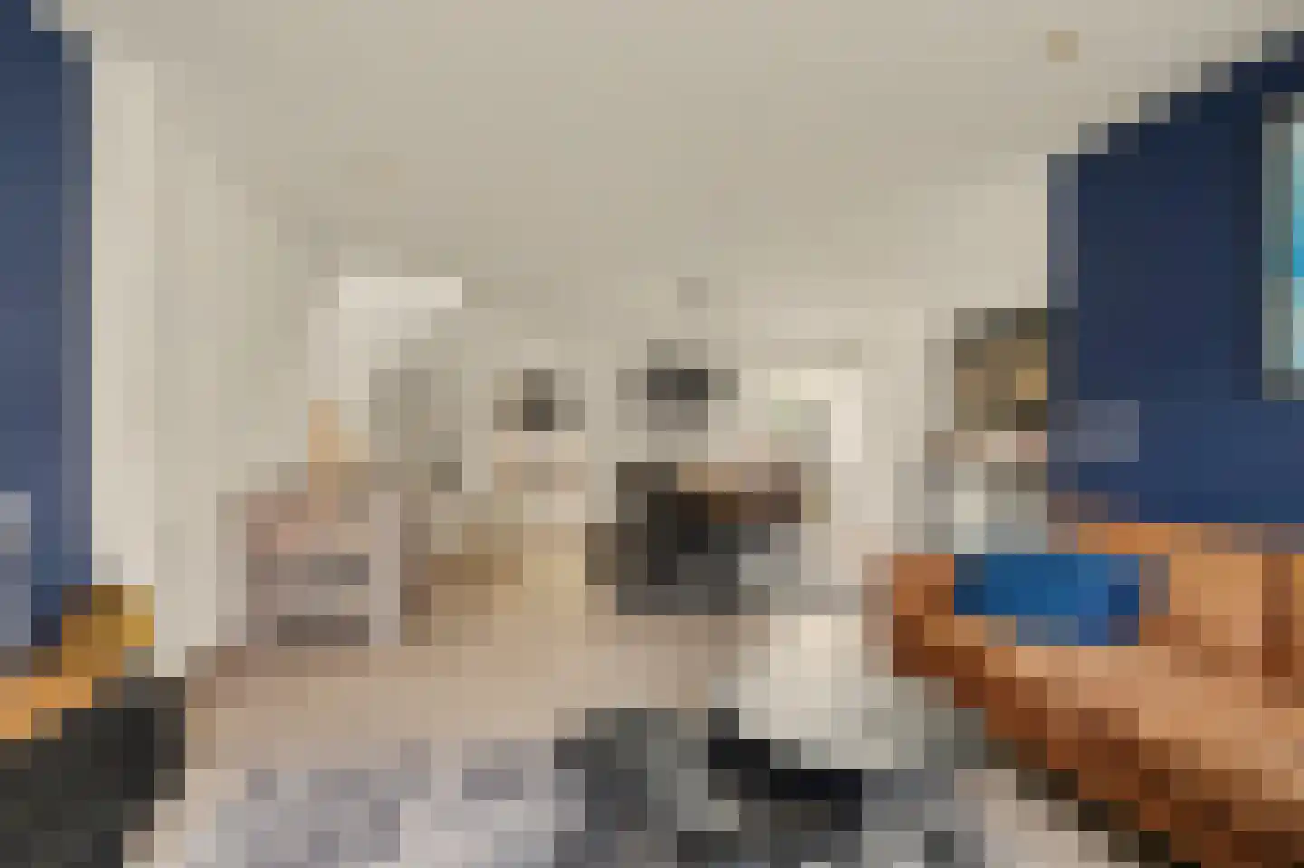 Dorpsstraat 6 Sirjansland thumbnail 4