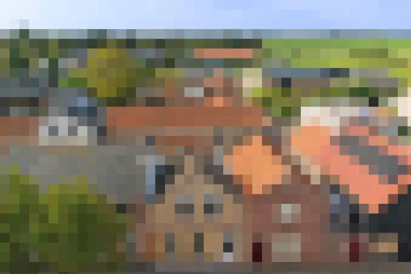 Dorpsstraat 6 Sirjansland thumbnail 44