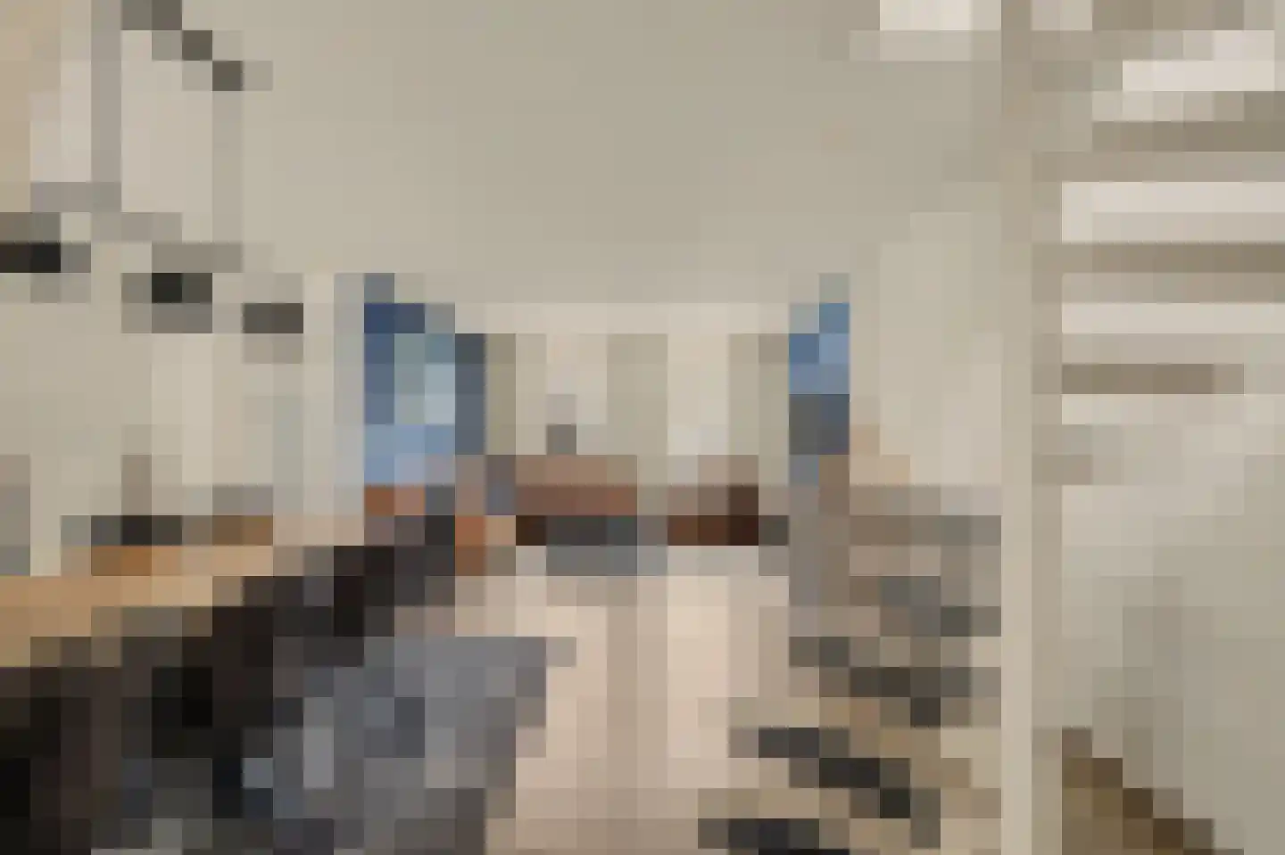 Dorpsstraat 6 Sirjansland thumbnail 5