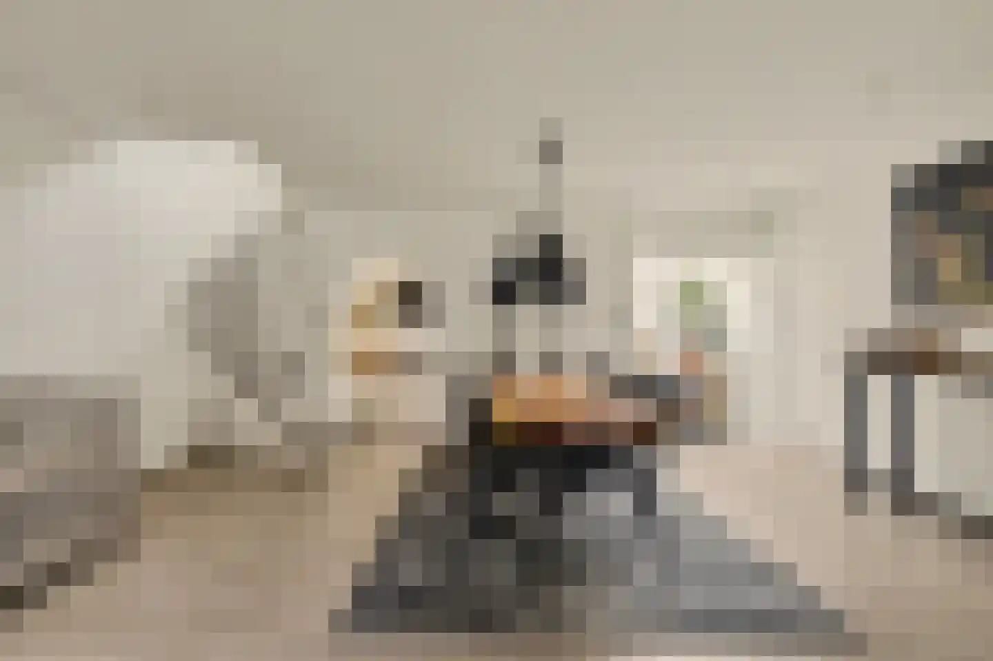 Dorpsstraat 6 Sirjansland thumbnail 6