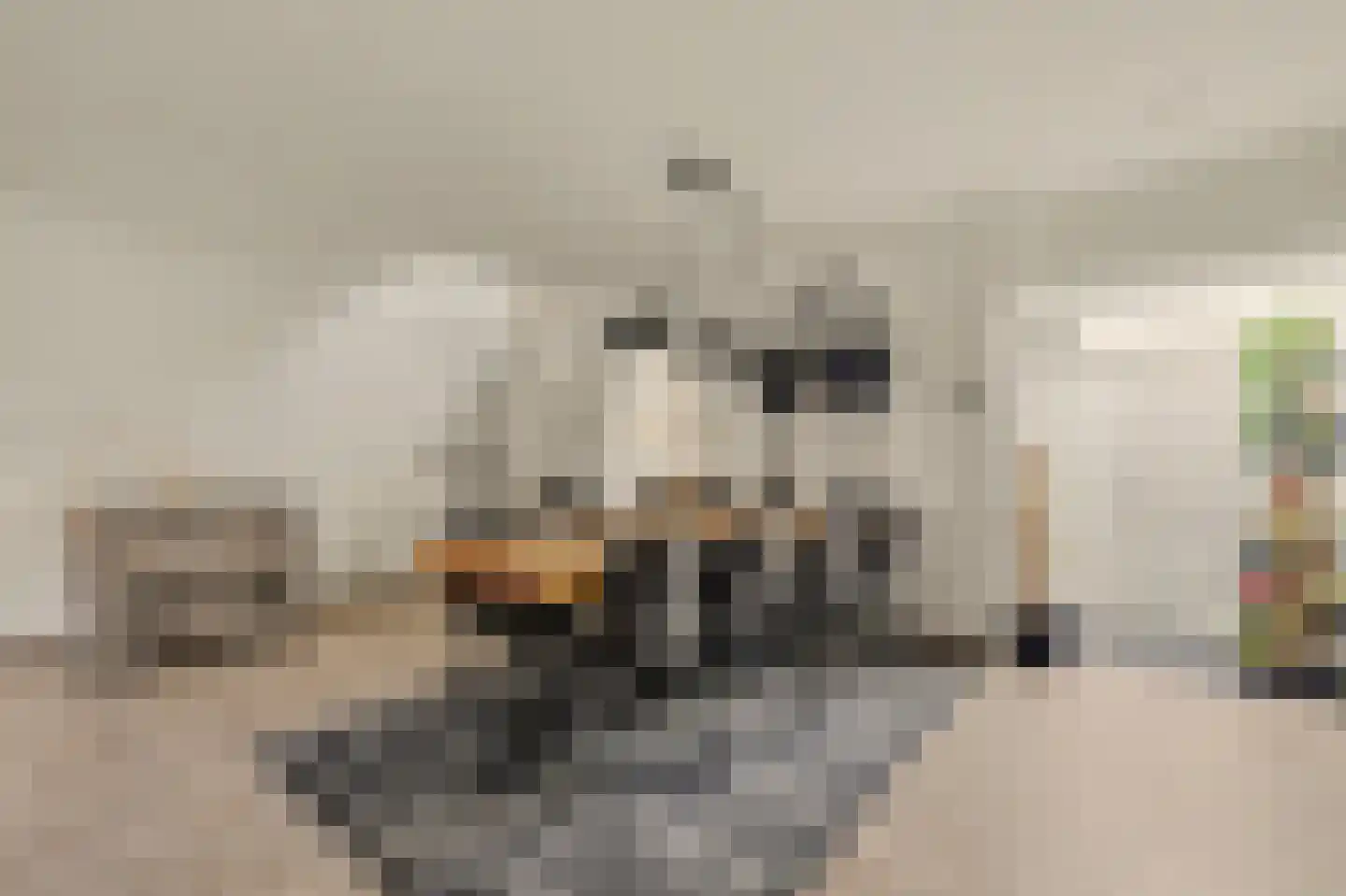 Dorpsstraat 6 Sirjansland thumbnail 7