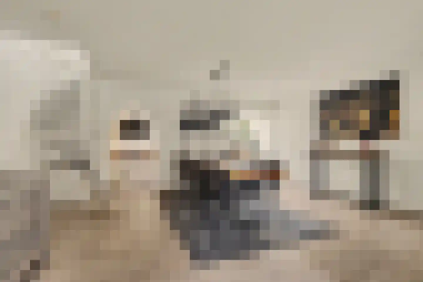 Dorpsstraat 6 Sirjansland thumbnail 8
