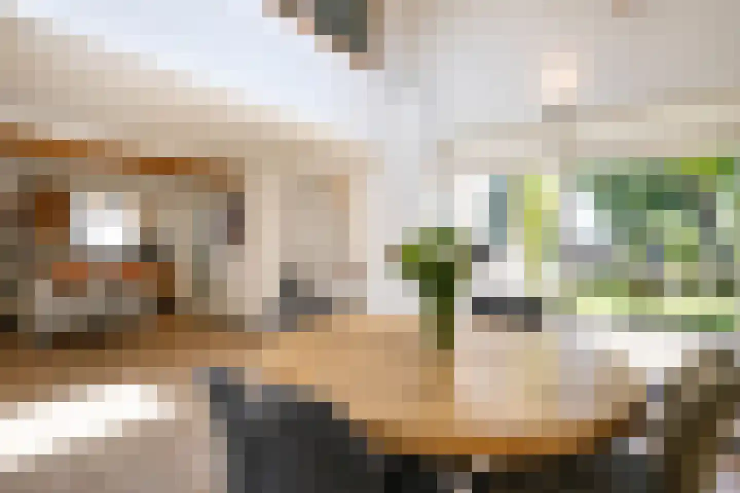 Dorpsstraat 6 Slenaken thumbnail 13