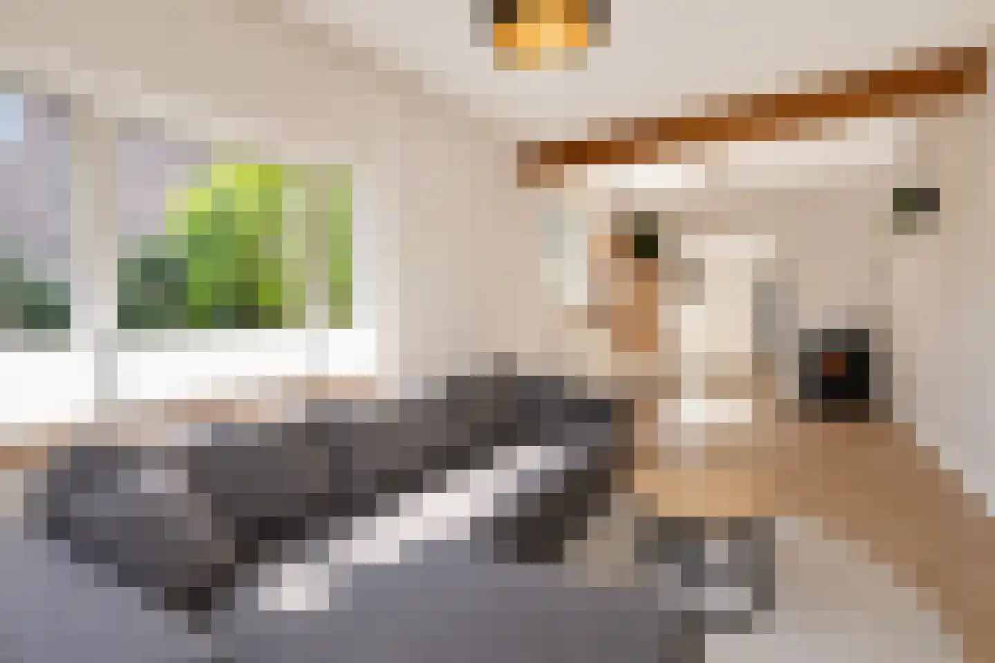 Dorpsstraat 6 Slenaken thumbnail 17
