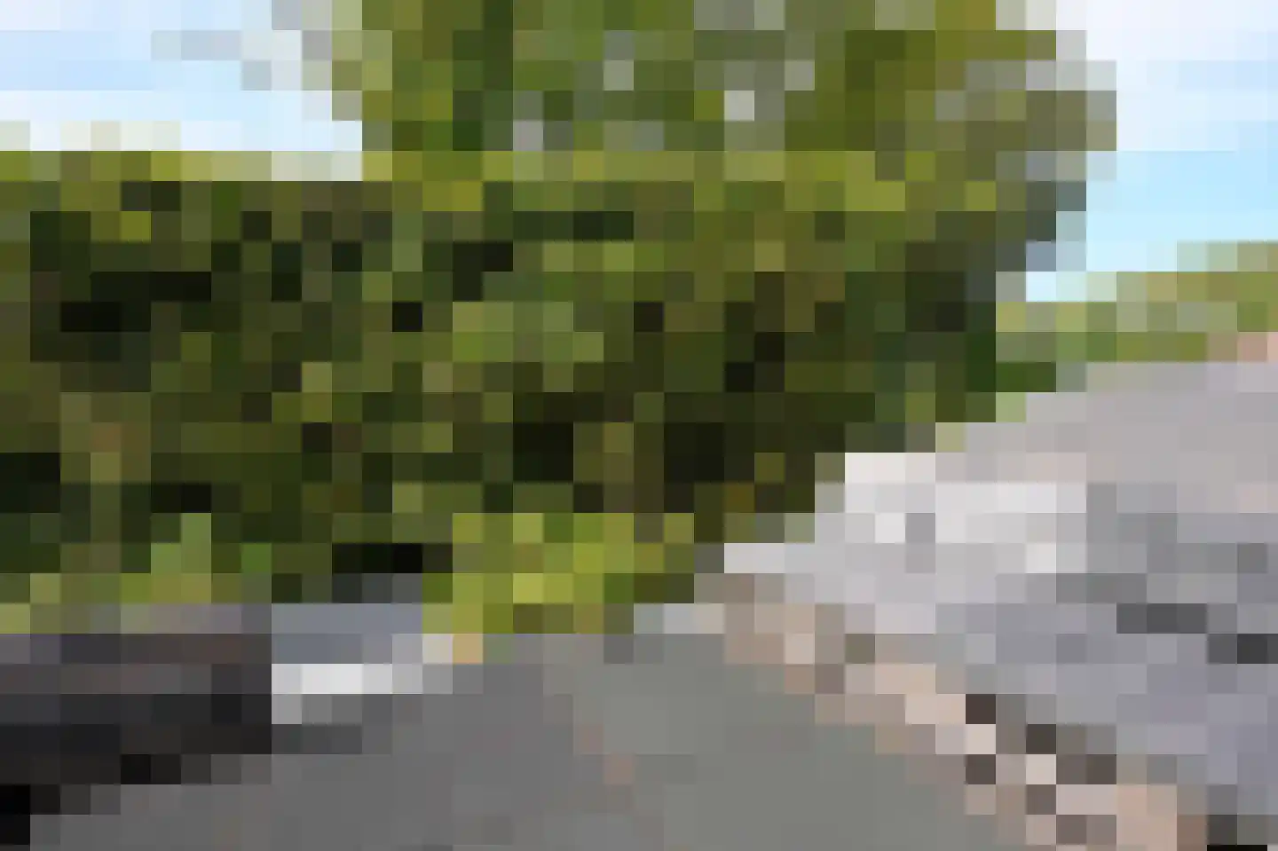 Dorpsstraat 6 Slenaken thumbnail 25