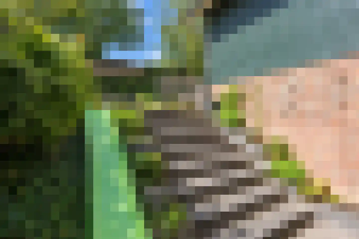 Dorpsstraat 6 Slenaken thumbnail 30