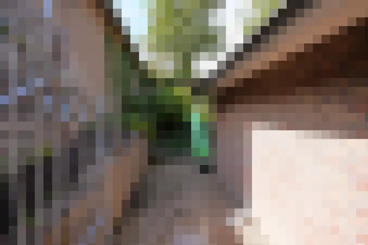 Dorpsstraat 6 Slenaken thumbnail 36
