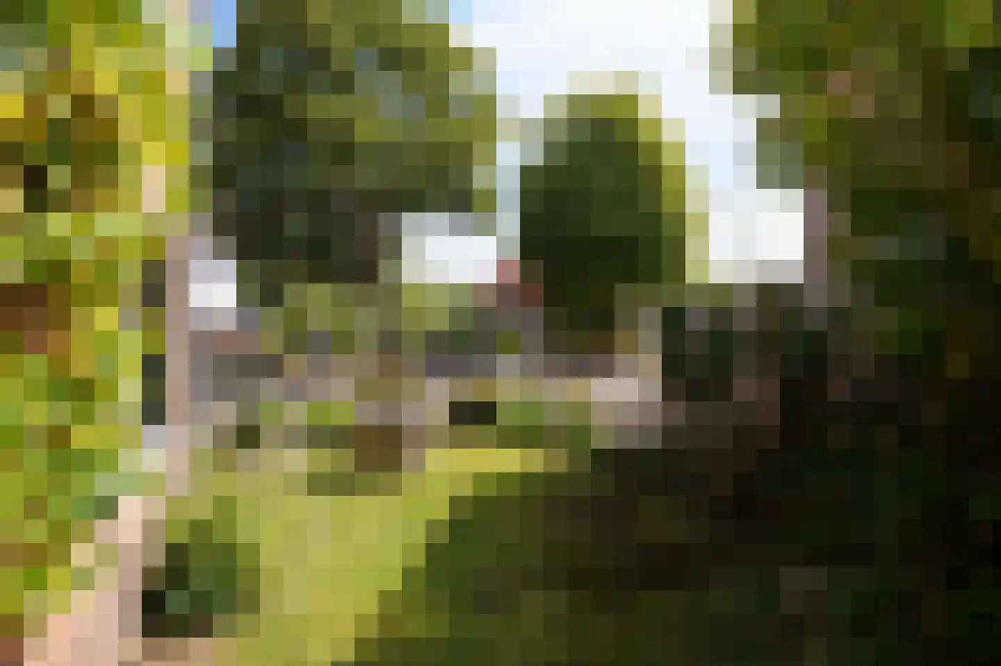 Dorpsstraat 6 Slenaken thumbnail 37