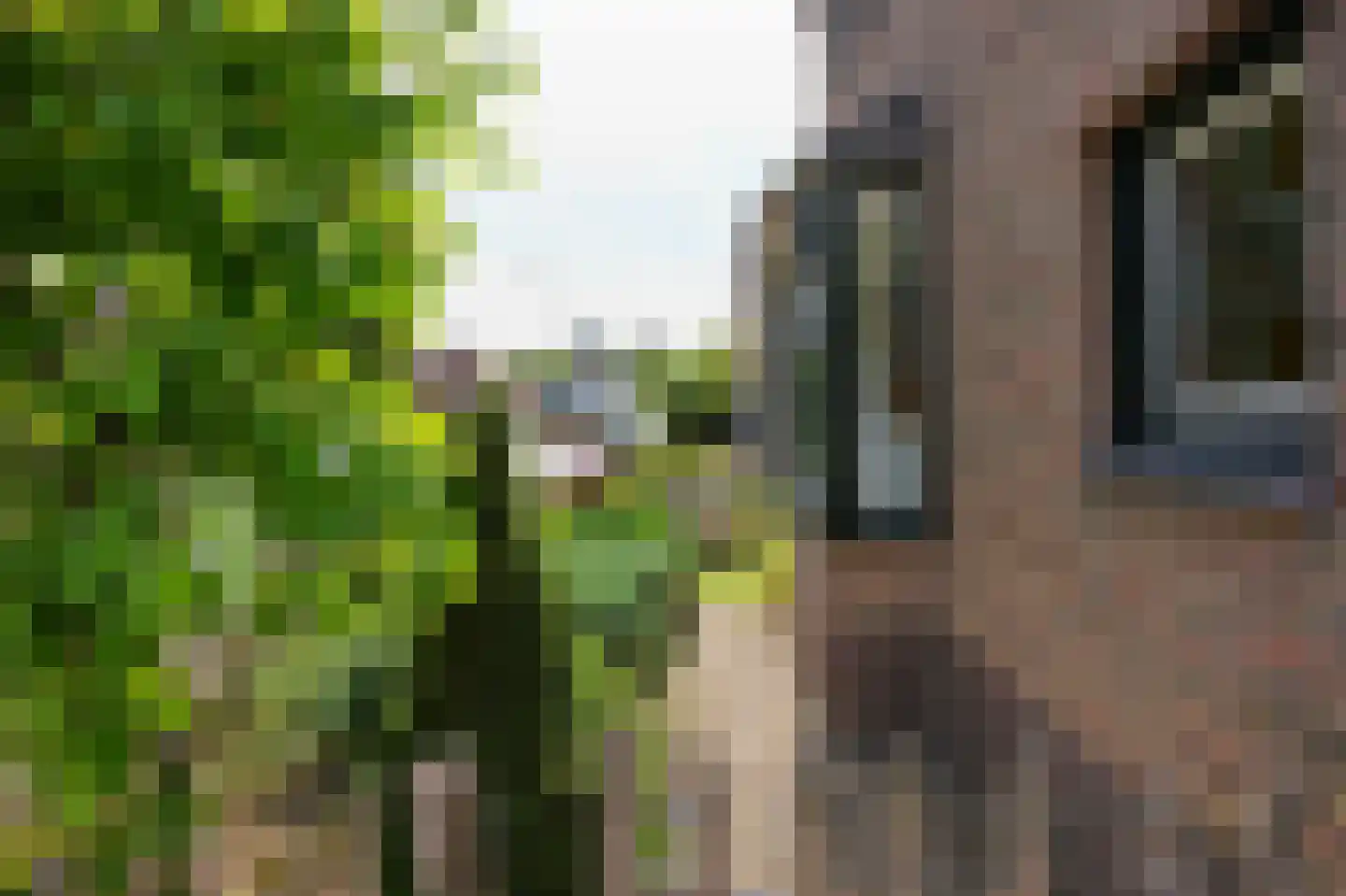 Dorpsstraat 6 Slenaken thumbnail 40