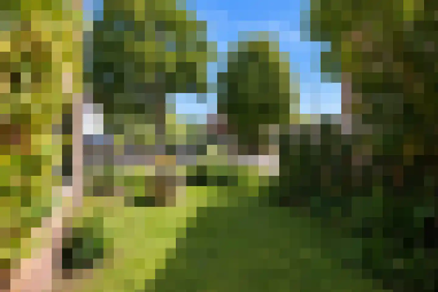 Dorpsstraat 6 Slenaken thumbnail 5