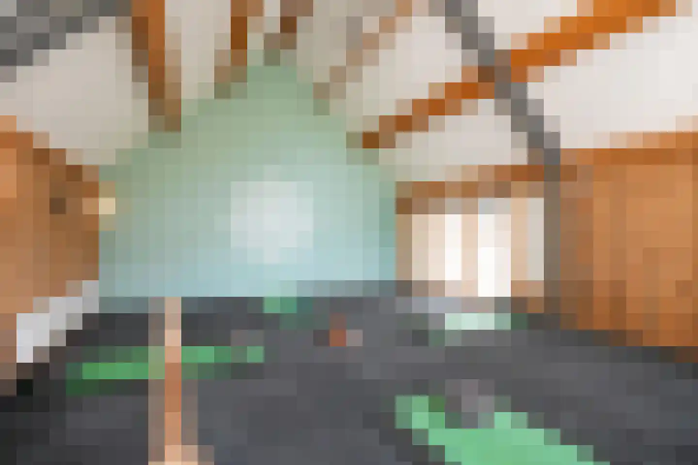 Dorpsstraat 6 Slenaken thumbnail 55