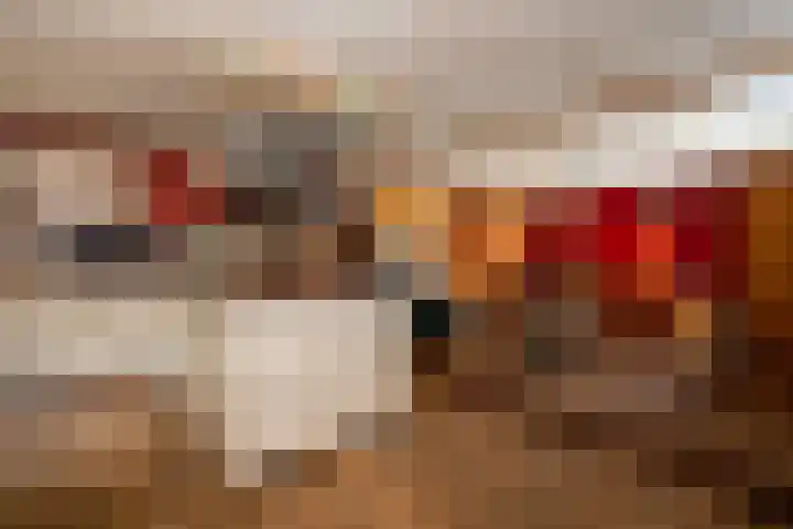 Dorpsstraat 6 Vriescheloo thumbnail 16