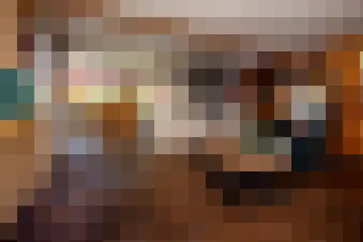 Dorpsstraat 6 Vriescheloo thumbnail 18