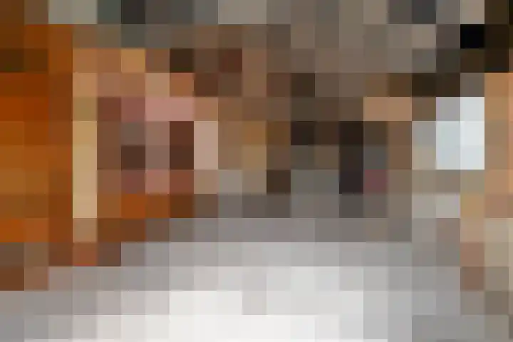 Dorpsstraat 6 Vriescheloo thumbnail 25