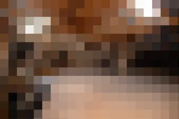 Dorpsstraat 6 Vriescheloo thumbnail 27