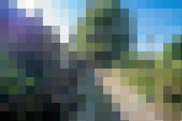 Dorpsstraat 6 Vriescheloo thumbnail 33