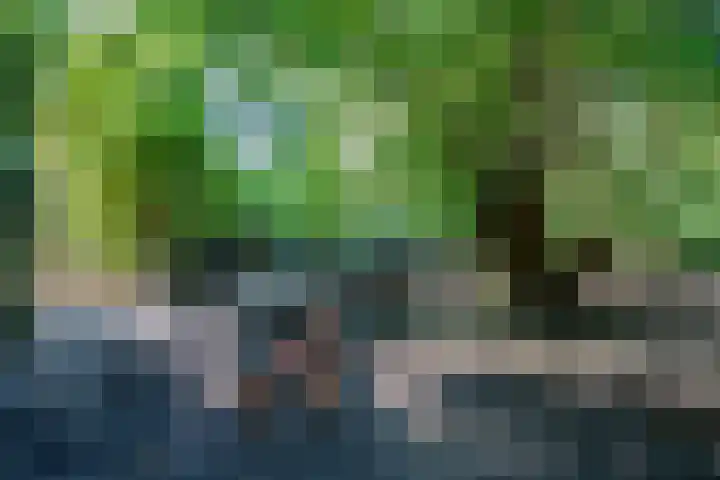 Dorpsstraat 6 Vriescheloo thumbnail 34