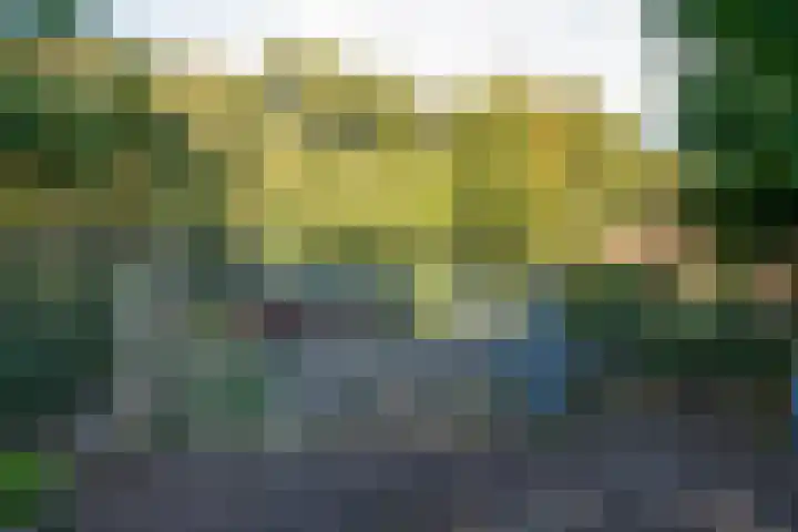 Dorpsstraat 6 Vriescheloo thumbnail 35