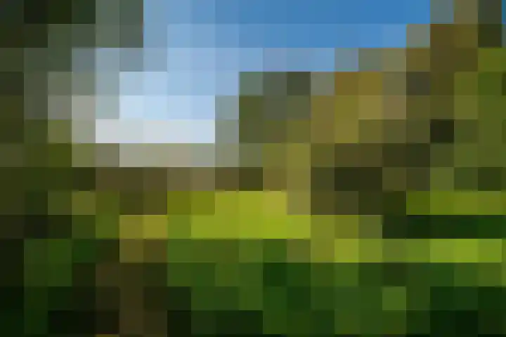 Dorpsstraat 6 Vriescheloo thumbnail 36