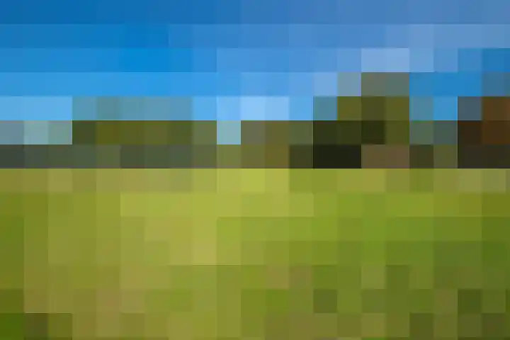 Dorpsstraat 6 Vriescheloo thumbnail 37