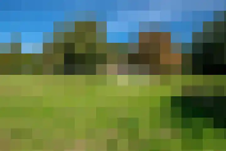 Dorpsstraat 6 Vriescheloo thumbnail 38