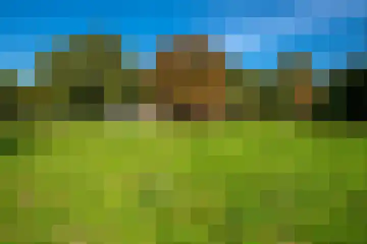 Dorpsstraat 6 Vriescheloo thumbnail 39