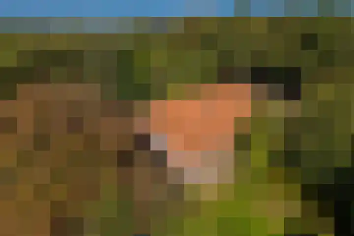 Dorpsstraat 6 Vriescheloo thumbnail 4