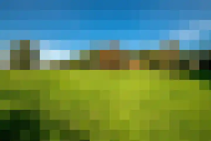 Dorpsstraat 6 Vriescheloo thumbnail 40