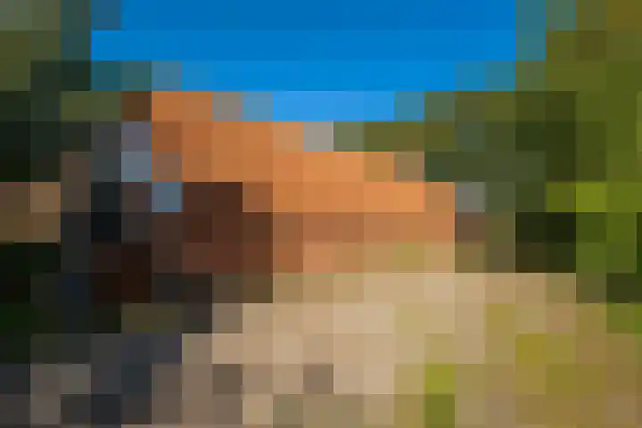 Dorpsstraat 6 Vriescheloo thumbnail 41