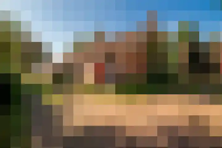 Dorpsstraat 6 Vriescheloo thumbnail 42
