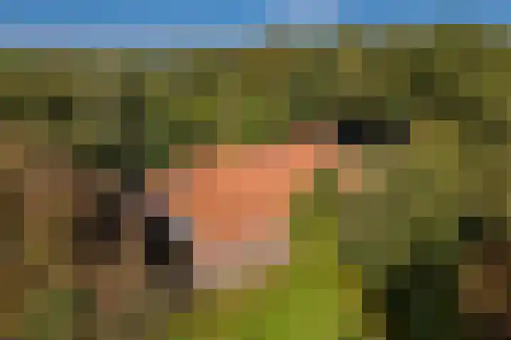 Dorpsstraat 6 Vriescheloo thumbnail 43