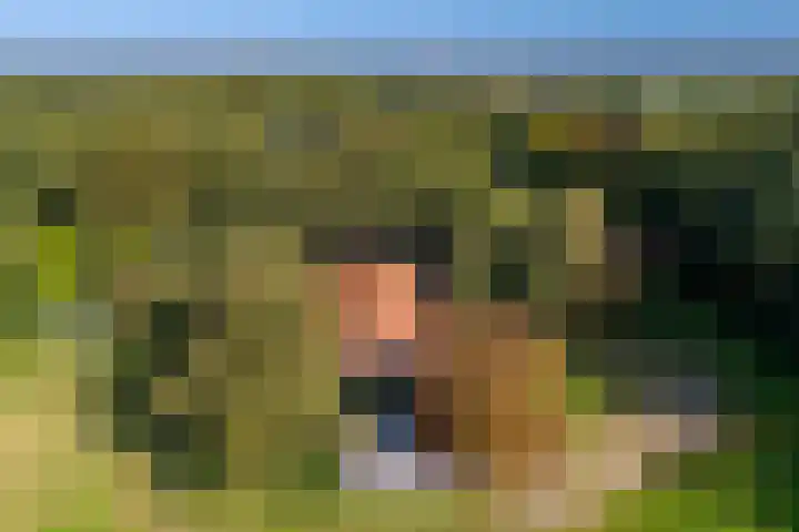 Dorpsstraat 6 Vriescheloo thumbnail 44