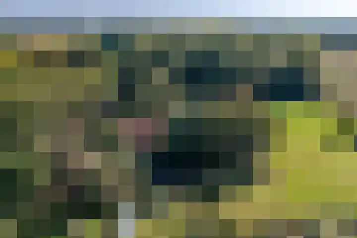 Dorpsstraat 6 Vriescheloo thumbnail 45
