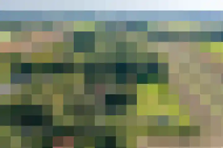 Dorpsstraat 6 Vriescheloo thumbnail 46
