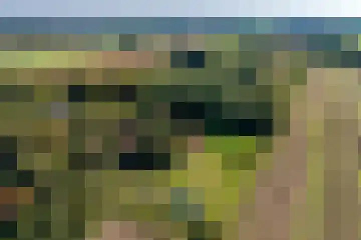 Dorpsstraat 6 Vriescheloo thumbnail 47