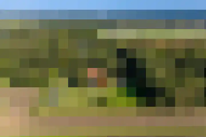 Dorpsstraat 6 Vriescheloo thumbnail 48