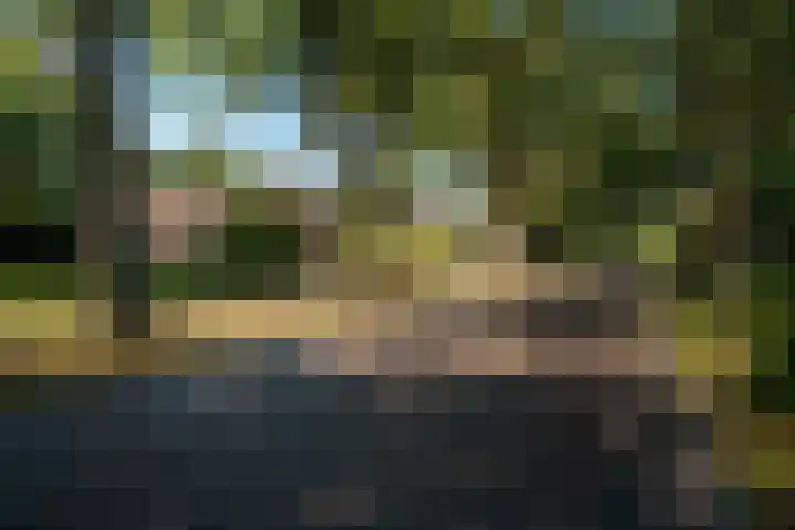 Dorpsstraat 6 Vriescheloo thumbnail 5