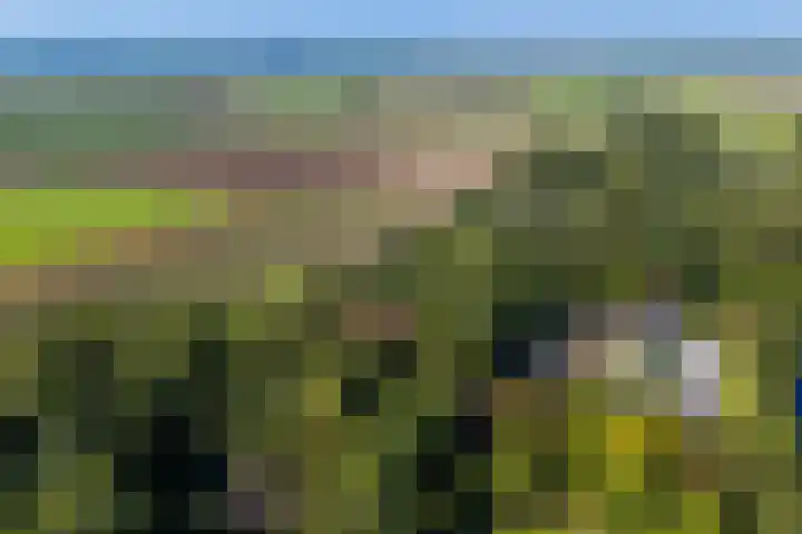 Dorpsstraat 6 Vriescheloo thumbnail 51
