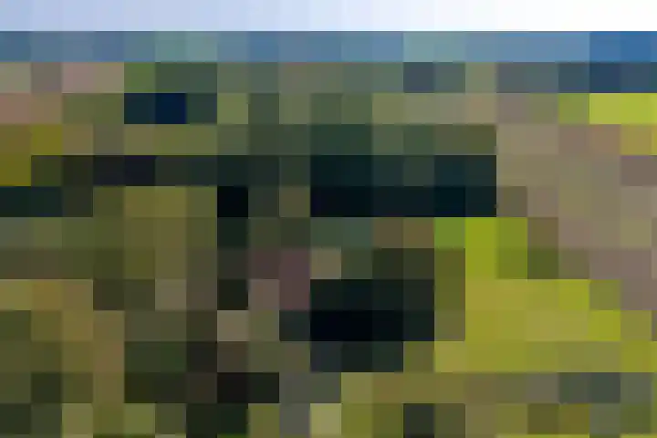 Dorpsstraat 6 Vriescheloo thumbnail 52