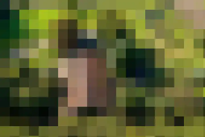 Dorpsstraat 6 Vriescheloo thumbnail 53