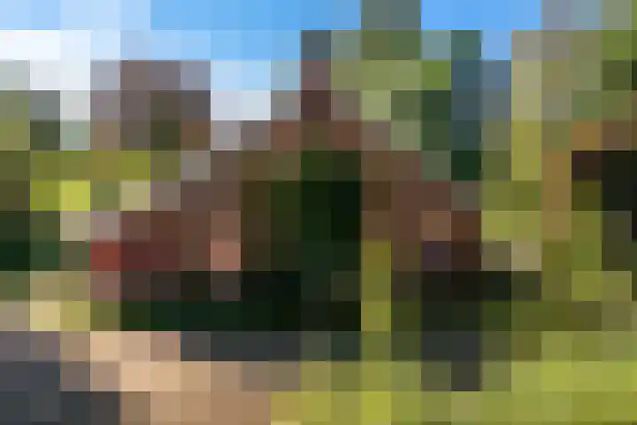 Dorpsstraat 6 Vriescheloo thumbnail 54