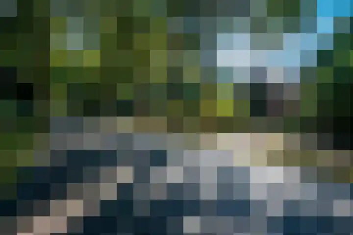 Dorpsstraat 6 Vriescheloo thumbnail 6