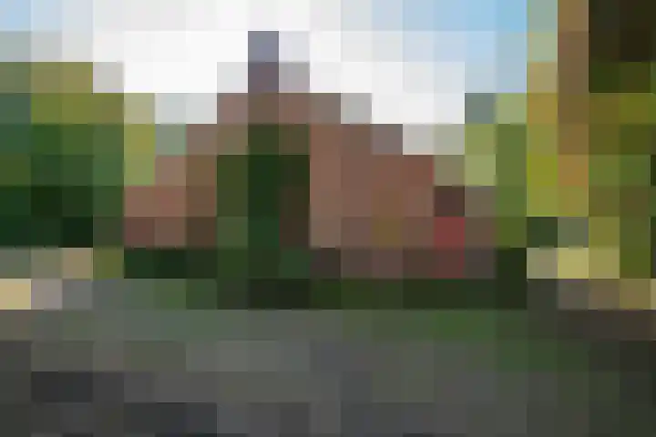 Dorpsstraat 6 Vriescheloo thumbnail 7