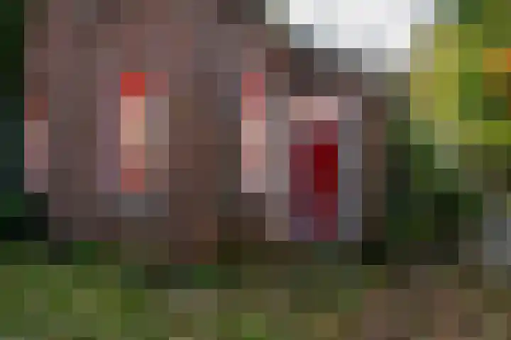 Dorpsstraat 6 Vriescheloo thumbnail 8