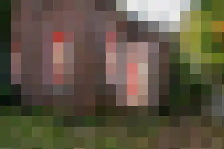 Dorpsstraat 6 Vriescheloo thumbnail 9