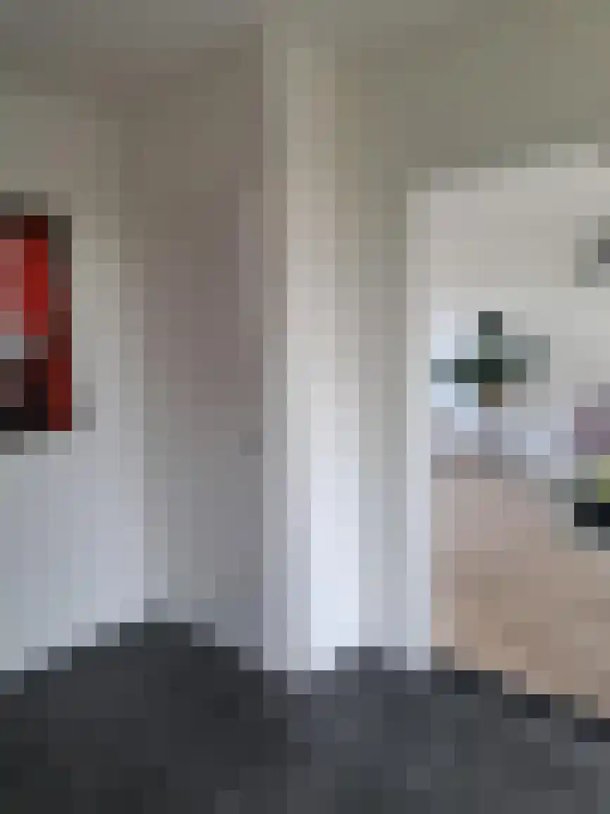 Dorpsstraat 6 Watergang thumbnail 5