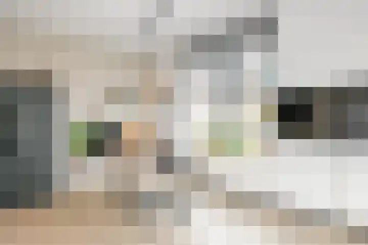 Dorpsstraat 6 Zoetermeer thumbnail 14