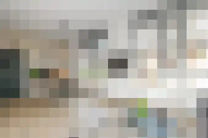 Dorpsstraat 6 Zoetermeer thumbnail 17