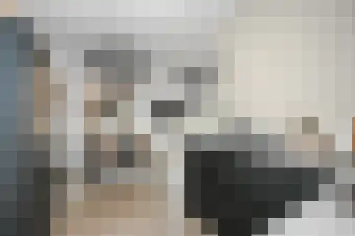Dorpsstraat 6 Zoetermeer thumbnail 7